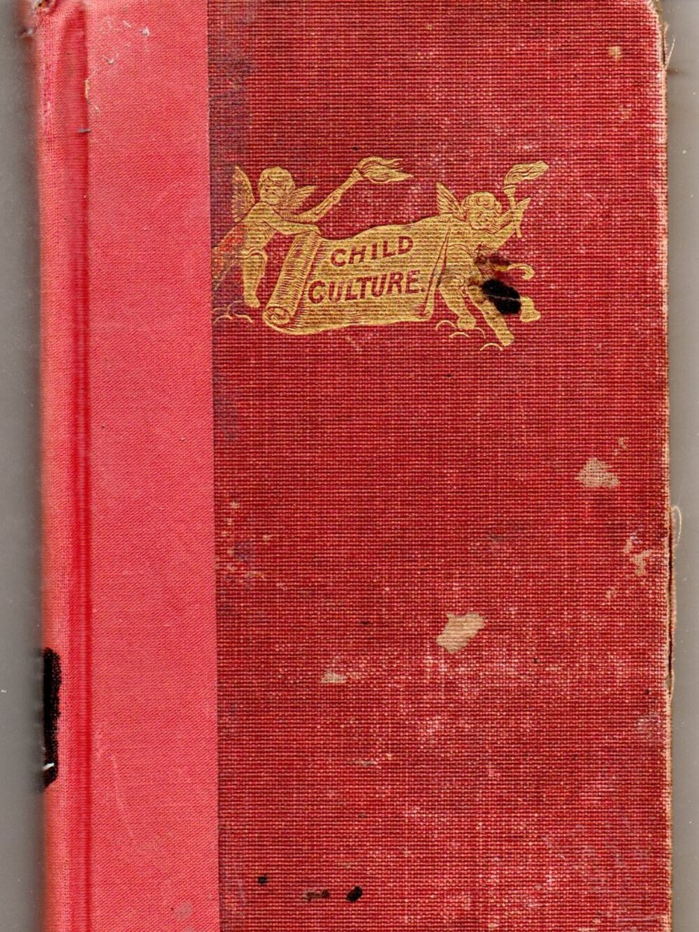 Child Care Development Advice (1913) Child Culture - Newton N. Riddell